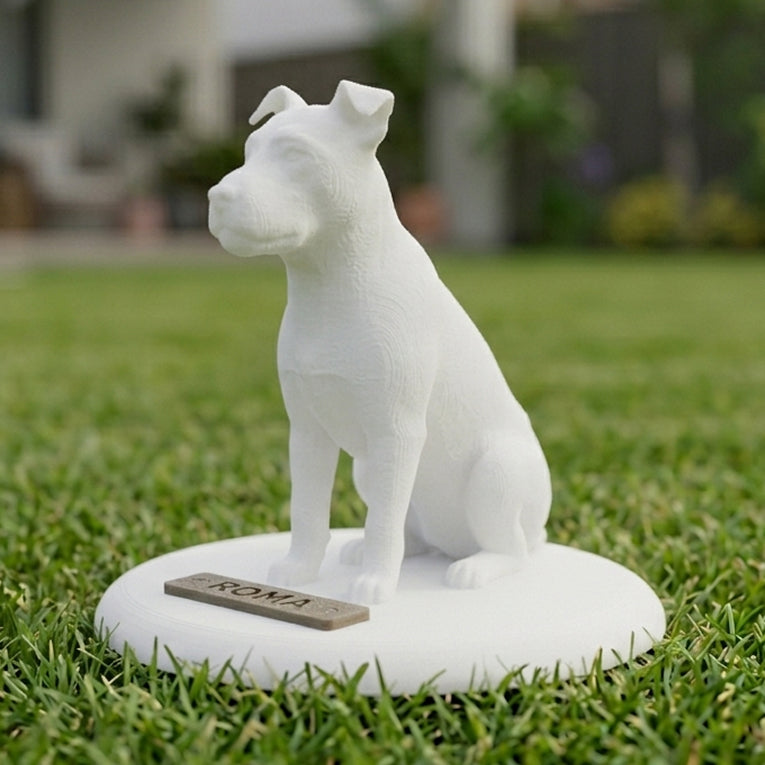 Biorama Único: Figura 3D personalizada de tu mascota