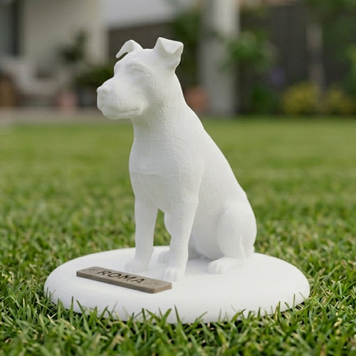 Biorama Único: Figura 3D personalizada de tu mascota